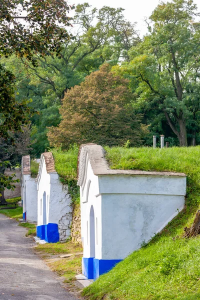 Grupo Bodegas Típicas Aire Libre Moravia República Checa — Foto de Stock