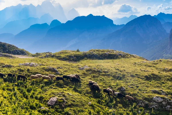 Montanha Mangart Parque Nacional Triglav Julian Alps Eslovénia — Fotografia de Stock