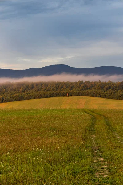 Brouillard Matinal Sous Vihorlat Slovaquie — Photo