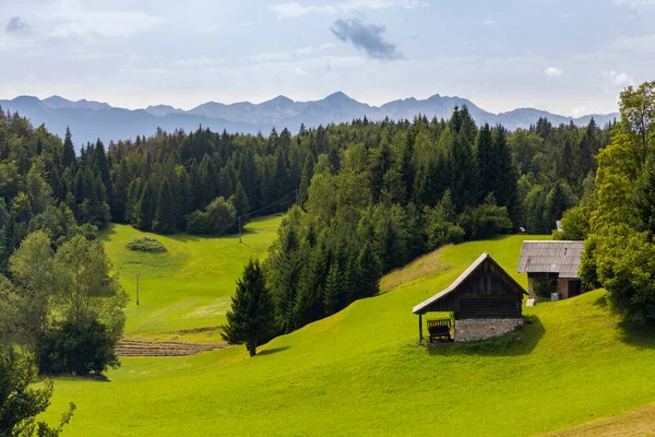 Nationaal Park Triglavski Bij Bohinj Lake Slovenië — Stockfoto