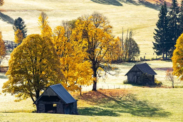 Herbstlandschaft Der Dachsteinregion Österreich — Stockfoto