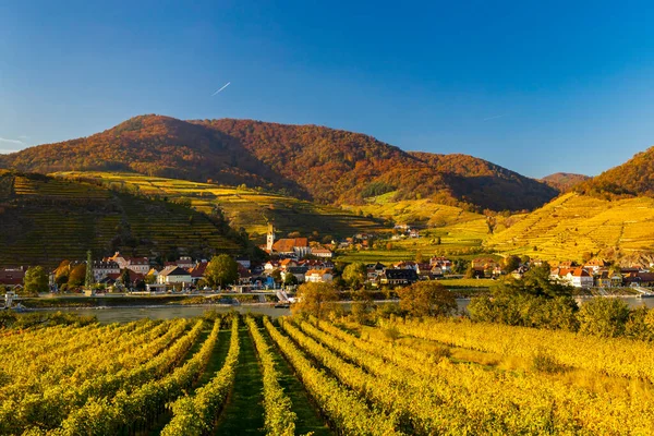 Autumn Vineyard Spitz Wachau Region Austria — Stock Photo, Image