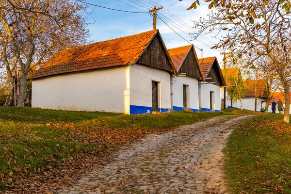 Vlcnov Şarap Mahzenleri Güney Moravya Çek Cumhuriyeti — Stok fotoğraf