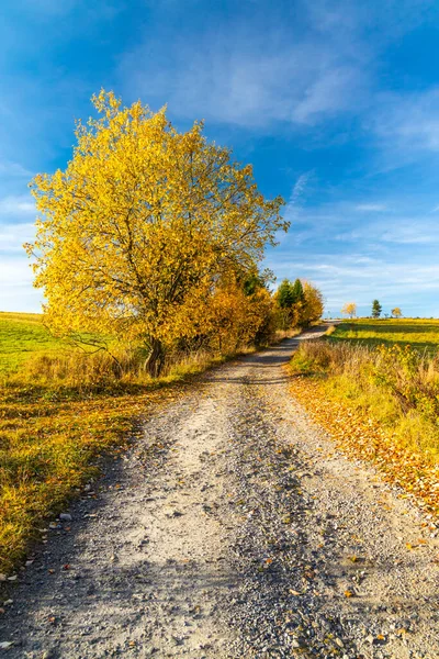 Straße Mit Herbstbaum Der Nähe Von Beskyd Der Slowakei — Stockfoto