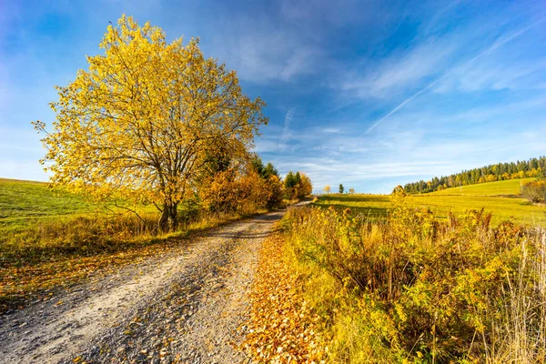 Slovakya Eyer Yakınında Sonbahar Ağacı Olan Yol Beskyd — Stok fotoğraf