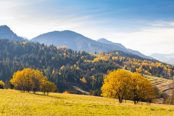 Mala Fatra Perto Zilina Eslováquia — Fotografia de Stock