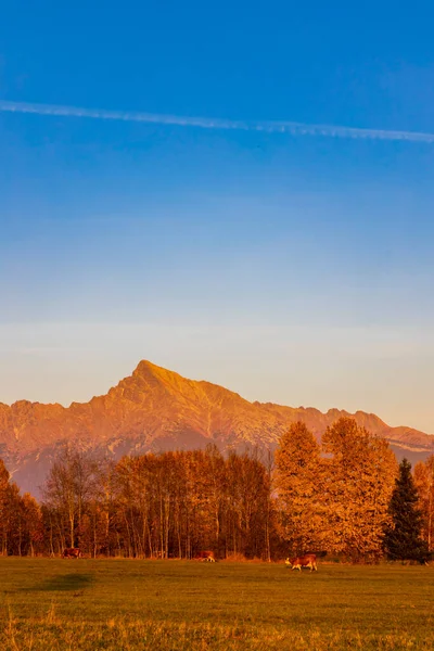 Krivan Hight Tatras Slovakia — Stock Photo, Image