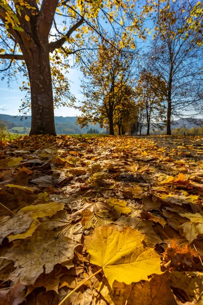 ハンガリー北部のバンホルヴァティ近くの秋の路地 — ストック写真