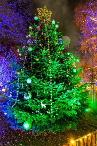Vánoční Stromek Vídni Rakousko — Stock fotografie