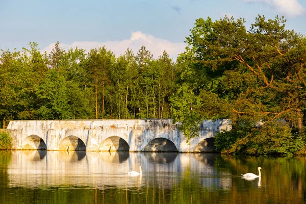 Stary Kamienny Most Nad Stawem Vitek Nova Hlina Koło Trebon — Zdjęcie stockowe
