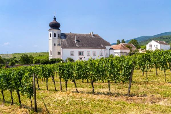 Adega Mosteiro Thallern Perto Gumpoldskirchen Baixa Áustria Áustria — Fotografia de Stock