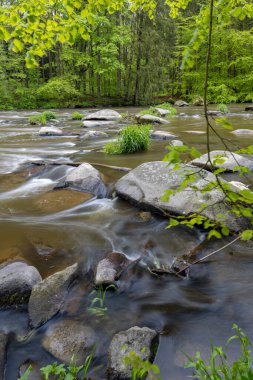 Çek Cumhuriyeti, Smrcna yakınlarındaki Sazava nehri