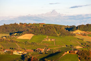 Serralunga d 'Alba köyü ve muhteşem Langa, İtalya manzarası