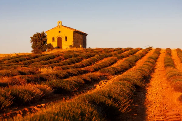 Chapel Lavender Field Plateau Valensole Provence France — Stock Photo, Image
