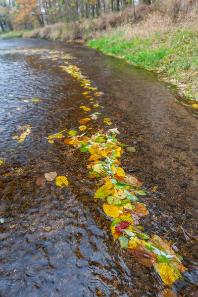 Дьё Южная Моравия — стоковое фото