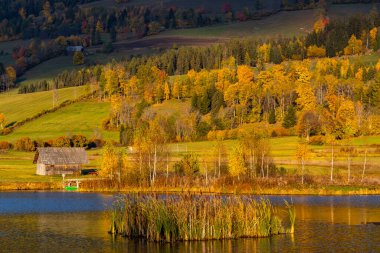 Dağların altındaki sonbahar göleti, Murau bölgesi.
