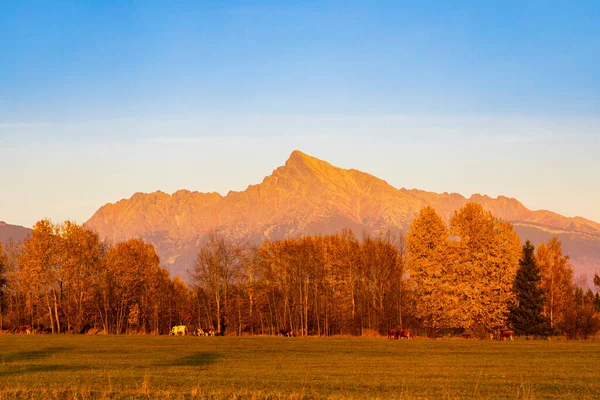 Krivan Hight Tatra Slovacchia — Foto Stock