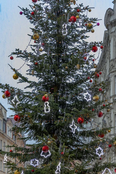 Christmas Tree Havelske Namesti Prague Czech Republic — Stock Photo, Image