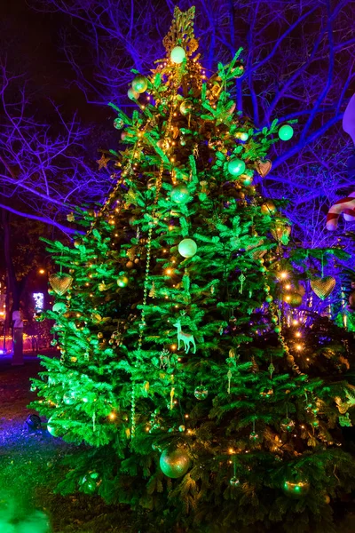 奥地利维也纳的圣诞树 — 图库照片