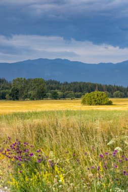 Nizke Tatry (Low Tatras), Slovakya