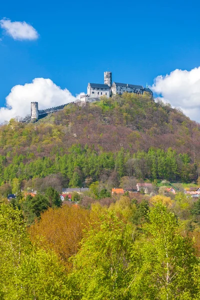 Bezdez Slott Centrala Böhmen Tjeckien — Stockfoto