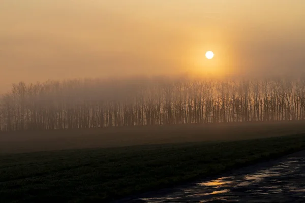 Wschód Słońca Pobliżu Znojmo Morawy Południowe Czechy — Zdjęcie stockowe