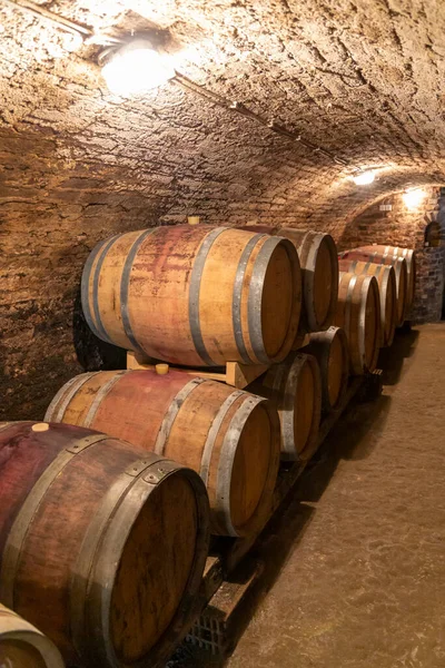 Cantina Con Botti Legno Hajos Transdanubia Meridionale Ungheria — Foto Stock