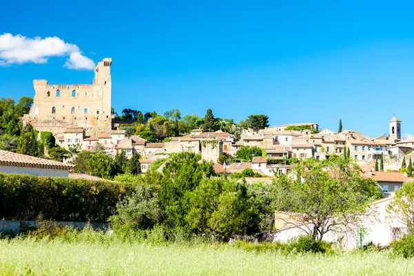 Αμπελώνες Κοντά Στο Chateauneuf Pape Provence Γαλλία — Φωτογραφία Αρχείου