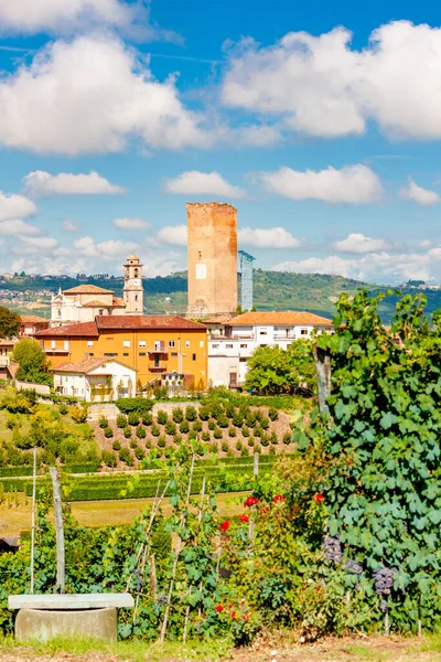 Vesnice Vinice Barbaresco Unesco Site Piemont Severní Itálie — Stock fotografie