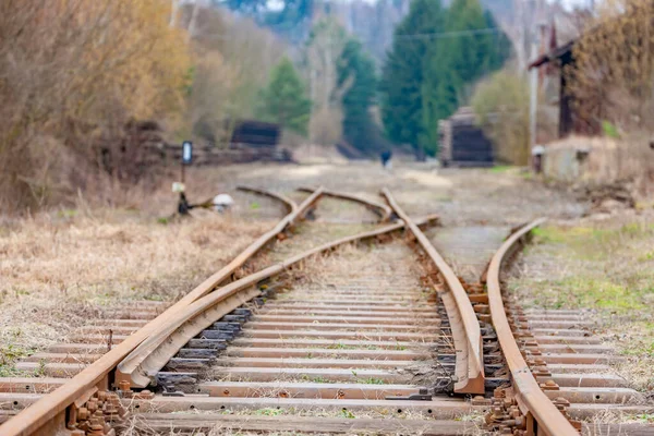 Liquidazione Vecchi Binari Sulla Linea Ferroviaria Cancellata Repubblica Ceca — Foto Stock