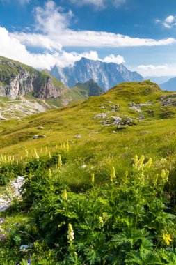 Mangart Dağı, Triglav Ulusal Parkı, Julian Alps, Slovenya