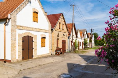 Hajos, Kalocsa County, Güney Büyük Ovası, Macaristan 'daki mahzen yolu.