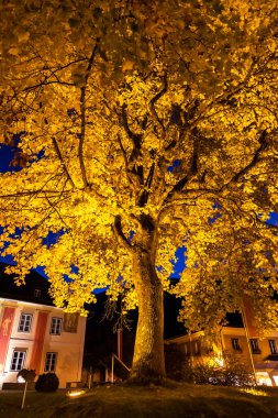 Avusturya, Yukarı Avusturya 'da Sonbahar Salonu