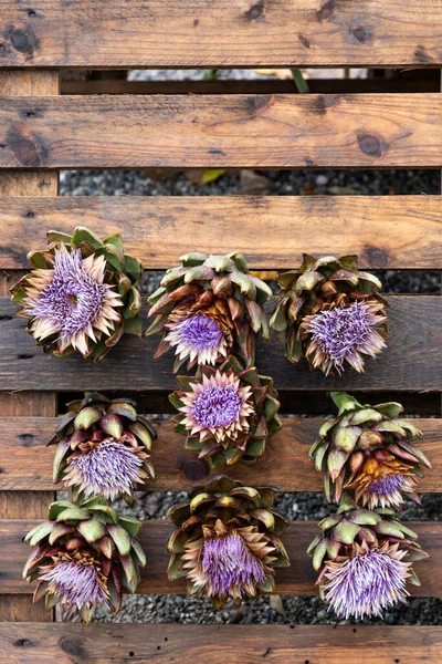 Artichauts Fleurs Marché Automne Autriche — Photo