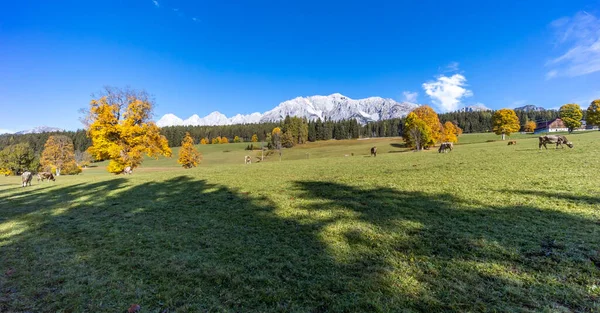 Outono Paisagem Região Dachstein Áustria — Fotografia de Stock