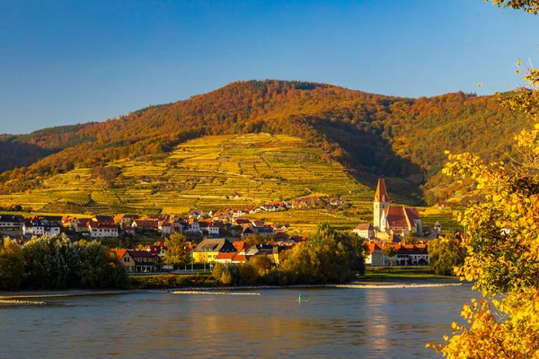 奥地利Wachau地区秋季葡萄园和Spitz — 图库照片