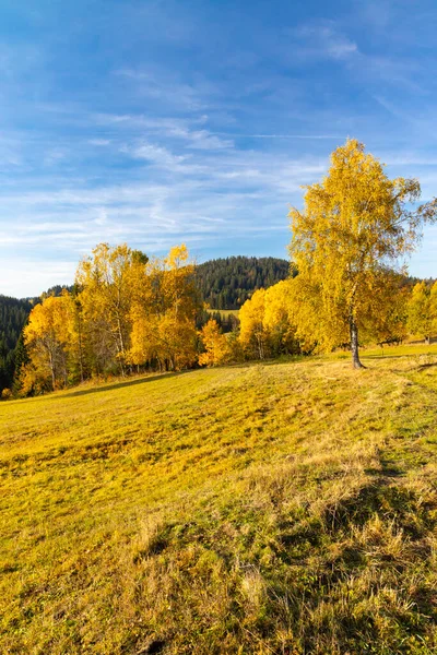 Autumn Landscape Saddle Beskyd Slovakia — Stock Photo, Image