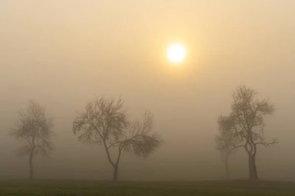 Alba Nebbiosa Nel Nord Dell Ungheria — Foto Stock