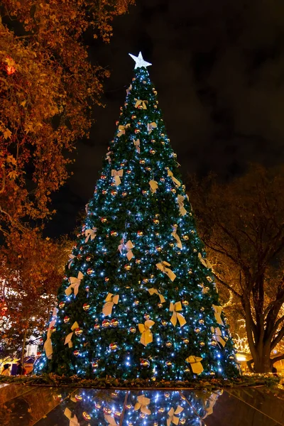 Kerstboom Wenen Oostenrijk — Stockfoto