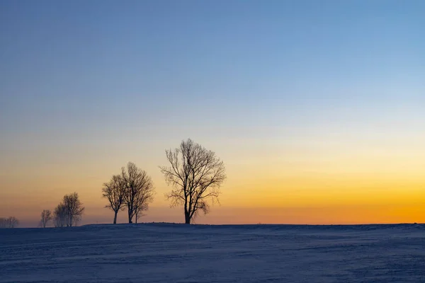 Восход Солнца Возле Высоких Татр Зимнее Время Словакия — стоковое фото