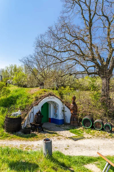 Gruppo Cantine Tipiche All Aperto Plze Vicino Petrov Moravia Meridionale — Foto Stock