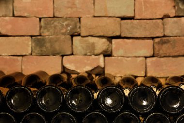 Güney Moravya Çek Cumhuriyeti şarap mahzeninde istiflenmiş şarap şişeleri alanı