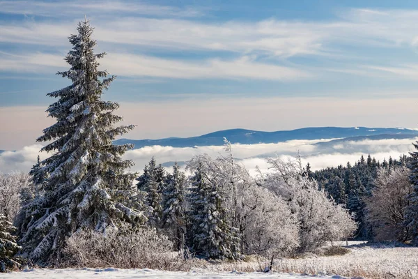 Kışın Orlicke Dağları Çek Cumhuriyeti — Stok fotoğraf