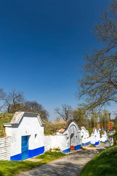 Group Typical Outdoor Wine Cellars Plze Petrov Southern Moravia Czech — Stock Photo, Image