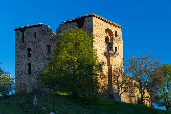 Ruinas Del Castillo Krakovec Bohemia Central República Checa — Foto de Stock