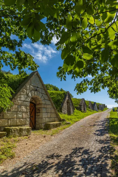 Gombos Hegyi Pincesor Hercegkut Unesco Site Great Plain North Hungary — Stock Photo, Image