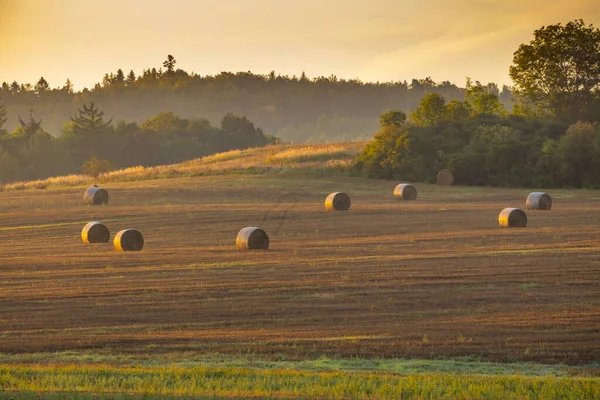 Sumava Sumset Svihov Western Bohemia Czech Republic — Stock Photo, Image