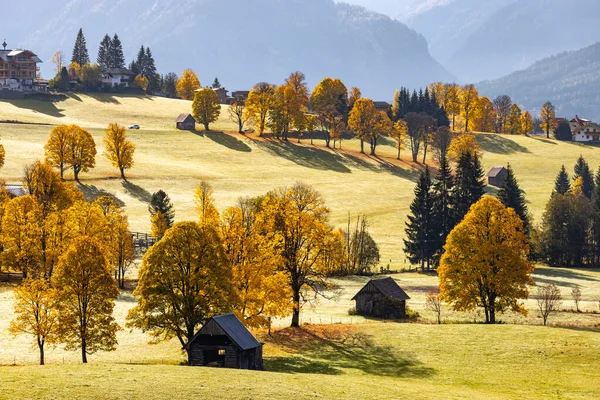 奥地利达什坦地区秋季景观 — 图库照片