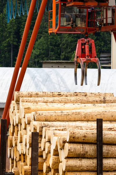 Industria Maderera Alpes Italia — Foto de Stock