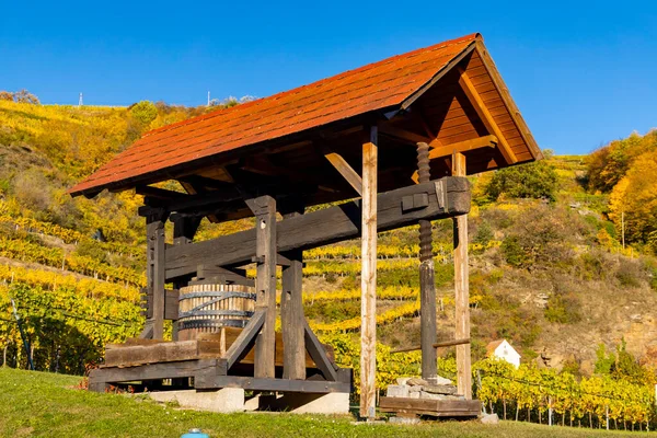 Wine Region Wachau Wine Harvest Time Austria — Stock Photo, Image